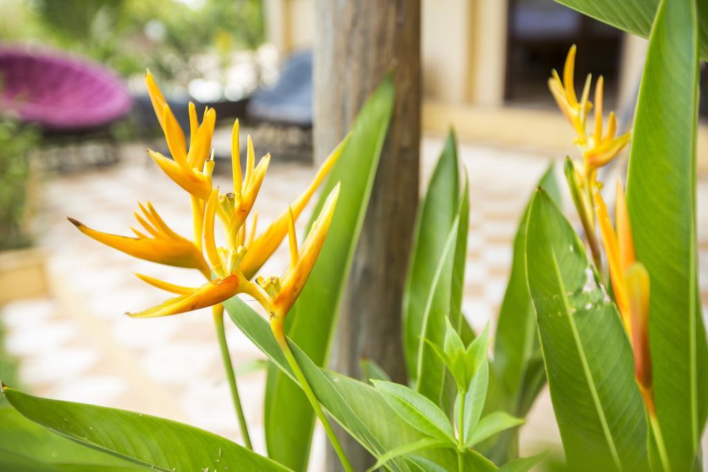 Champa Lodge Kampot Buitenkant foto