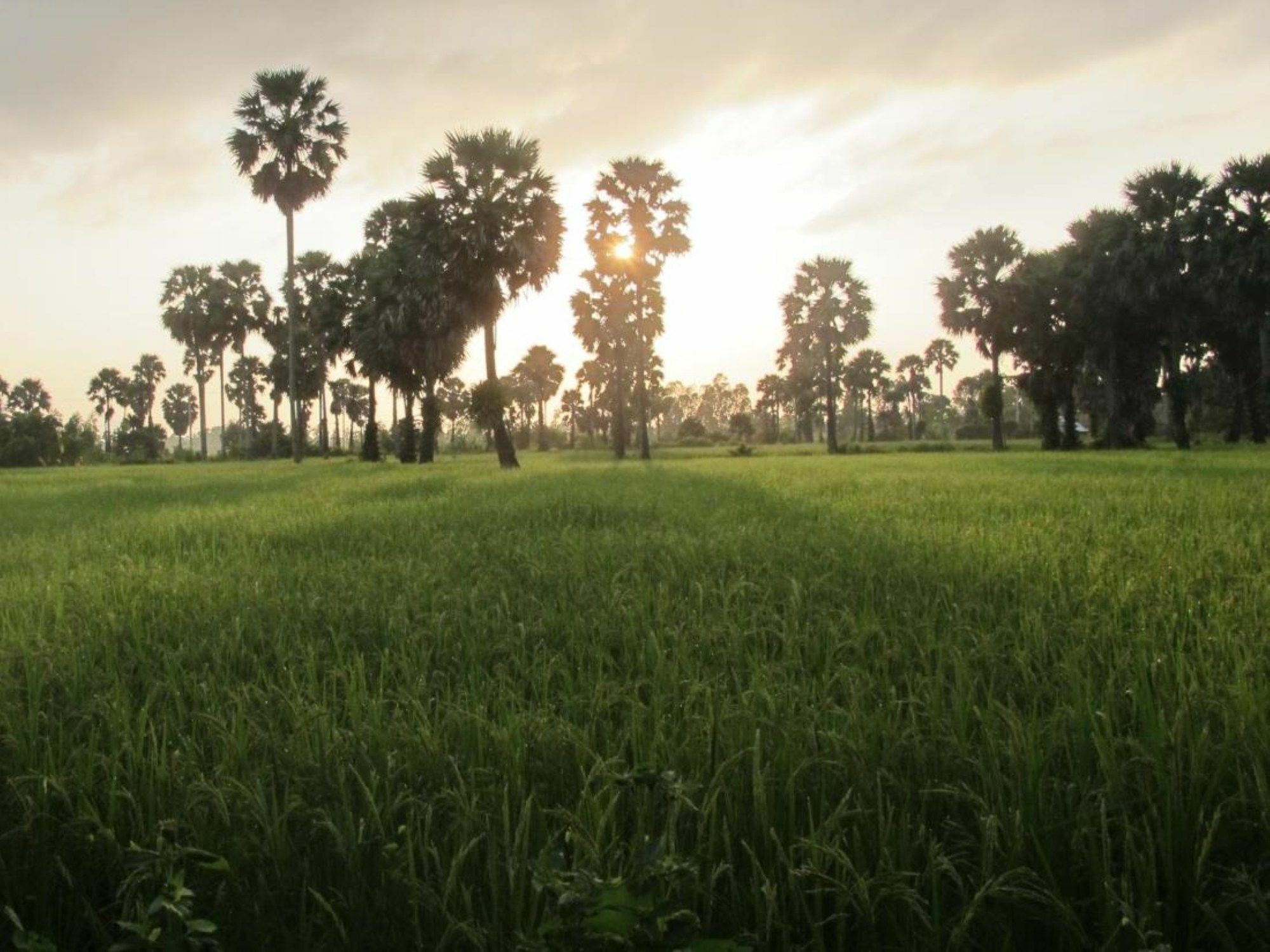 Champa Lodge Kampot Buitenkant foto